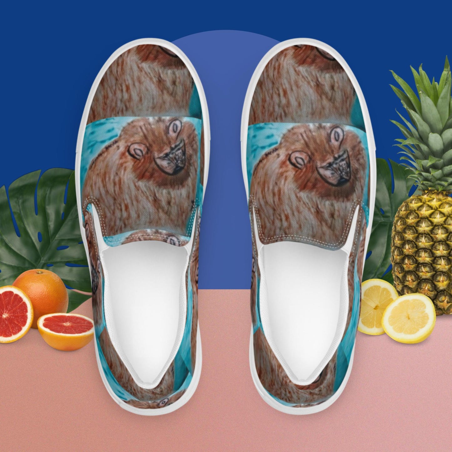 Men’s slip-on canvas shoes