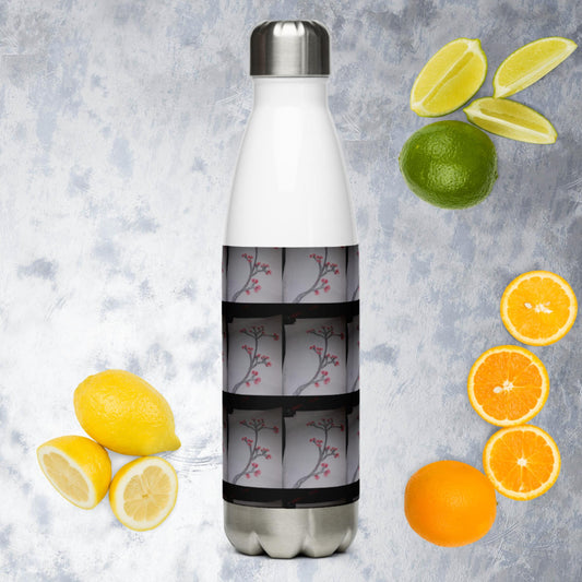 Stainless Steel Water Bottle