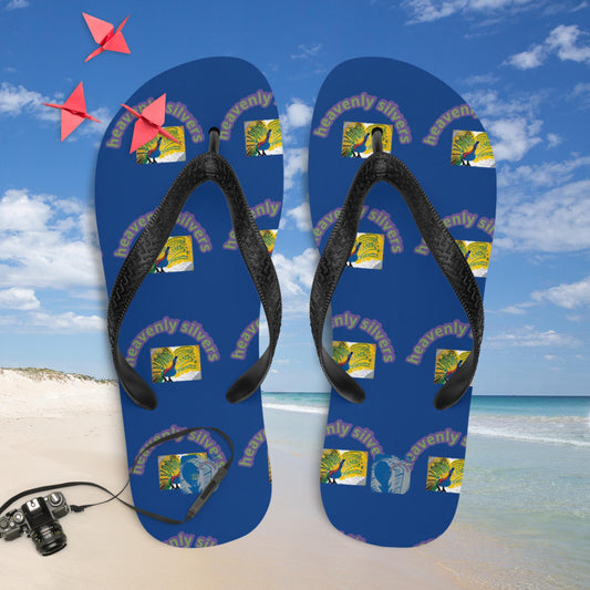 Flip-Flops